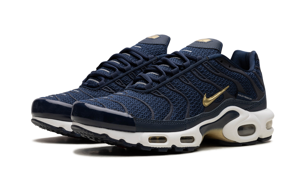 Nike Air Max Plus FFF fb3350 400