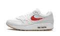 Nike Air Max 1 The Bay FJ4451 100