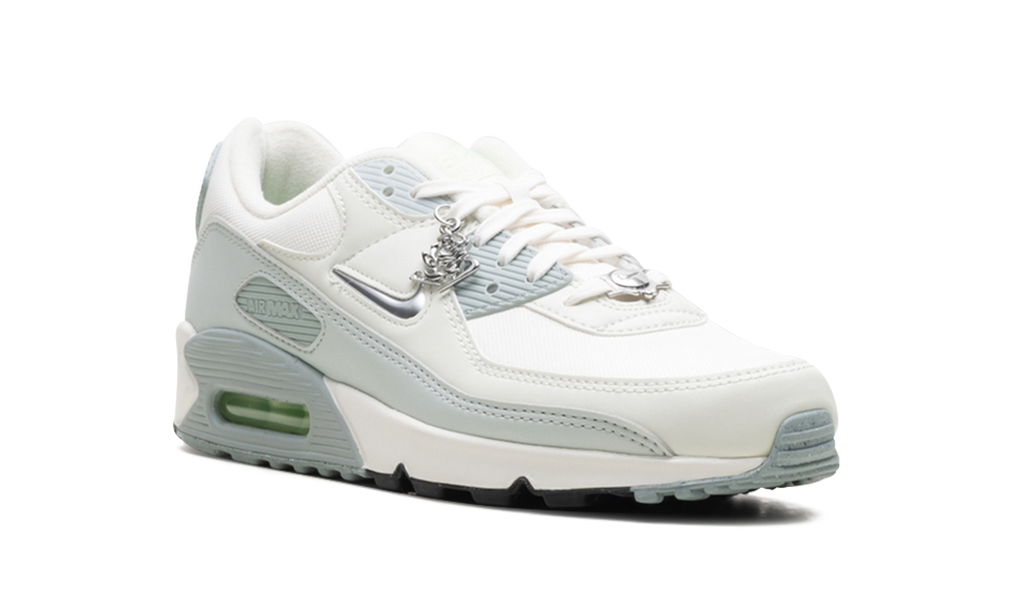 Nike Air Max 90 WMNS Silver FN6948-100