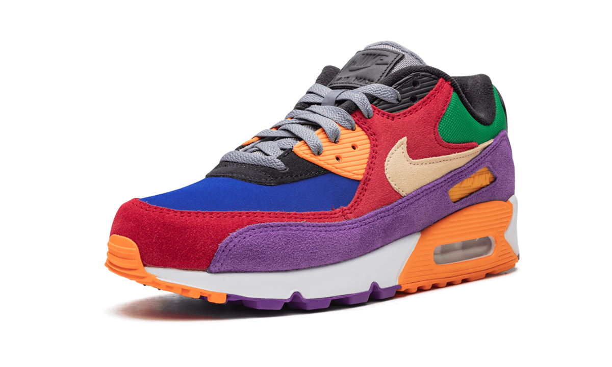 Nike Air Max 90 Viotech CD0917 600