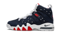 Nike Air Max CB 94 USA 2021 DJ5160 400
