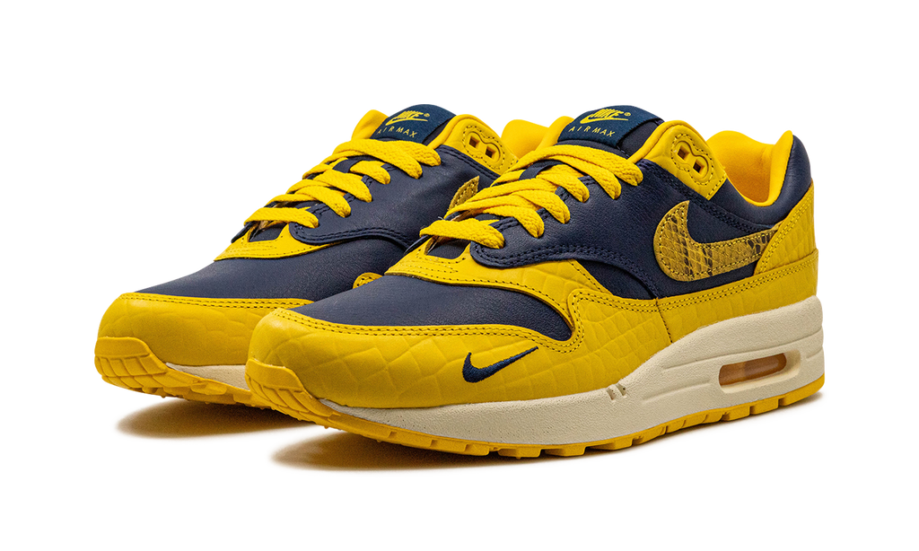 Nike AIR MAX 1 PRM MNS WMNS Co.jp Head to Head FJ5479 410