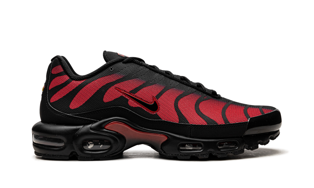 Nike Air Max Plus Bred Reflective DZ4507 600