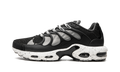 Nike Air Max Plus Terrascape Off Noir DN4590 001