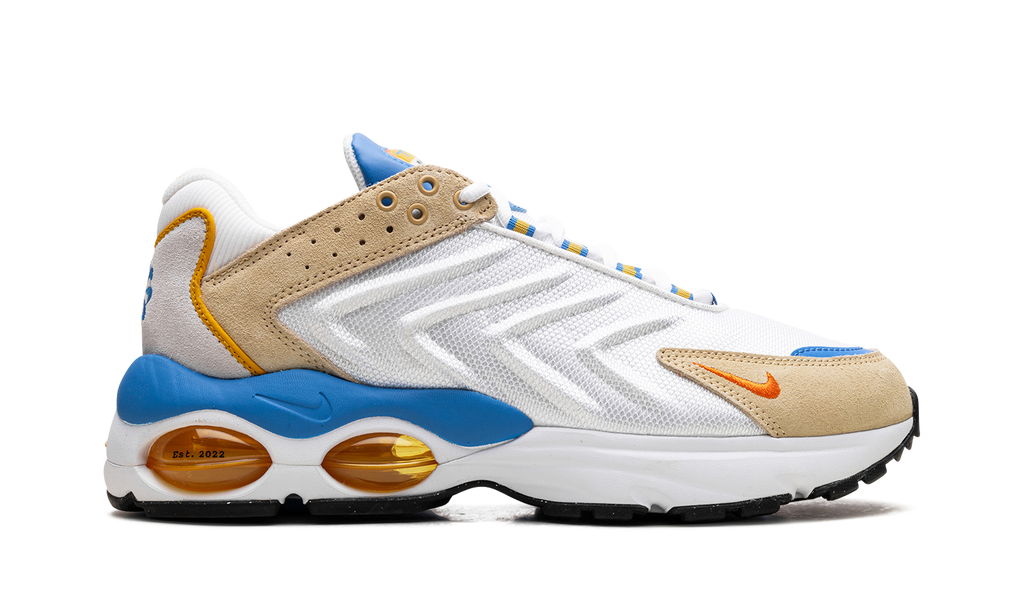 Nike Air Max TW Frank Rudy DV1232 100