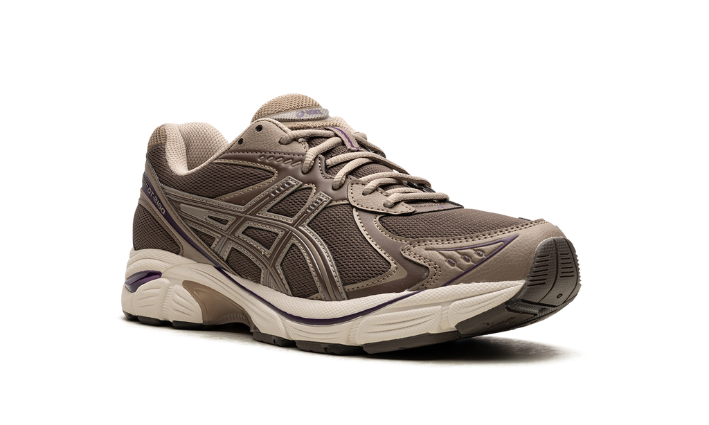 Asics GT 2160 Dark Taupe Purple 1203A320 251