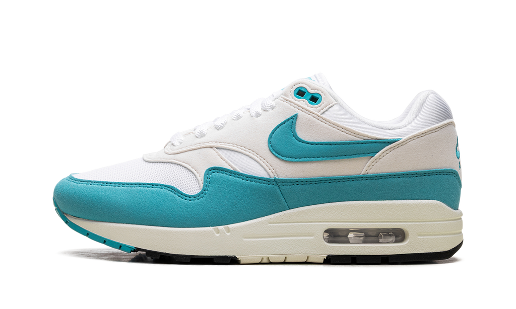 Nike Air Max 1 WMNS Blue DZ2628 107