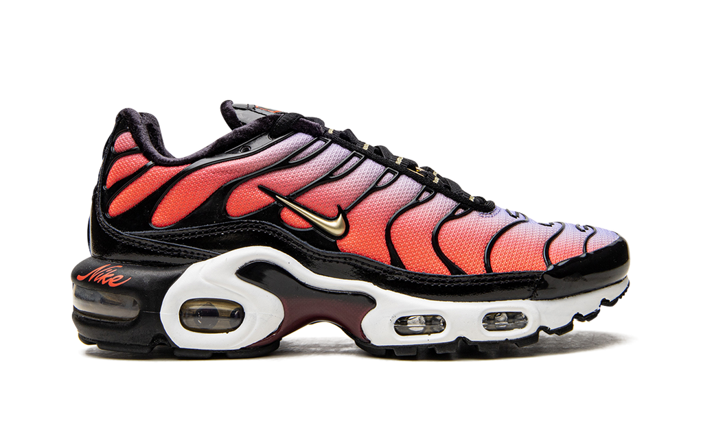 Nike AIR MAX PLUS MNS WMNS Sisterhood DO6115 500