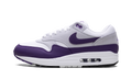 Nike Air Max 1 SC Field Purple DZ4549 101