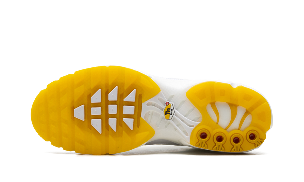 Nike Air Max Plus Marion Frank Rudy DQ8960 100