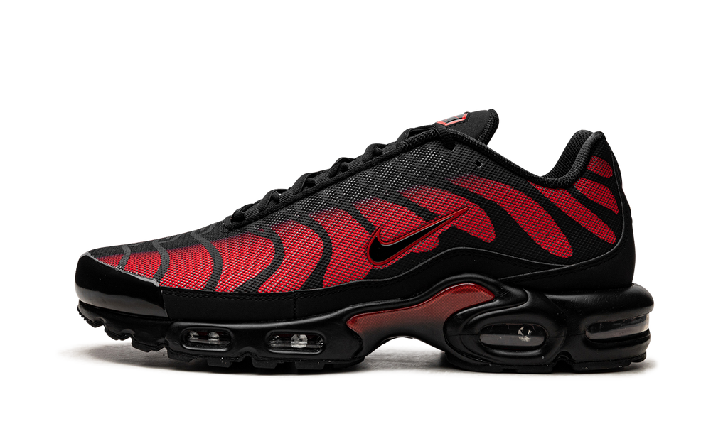 Nike Air Max Plus Bred Reflective DZ4507 600