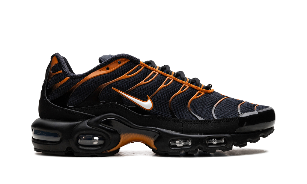 Nike Air Max Plus OBSIDIAN MONARCH FN6949 400