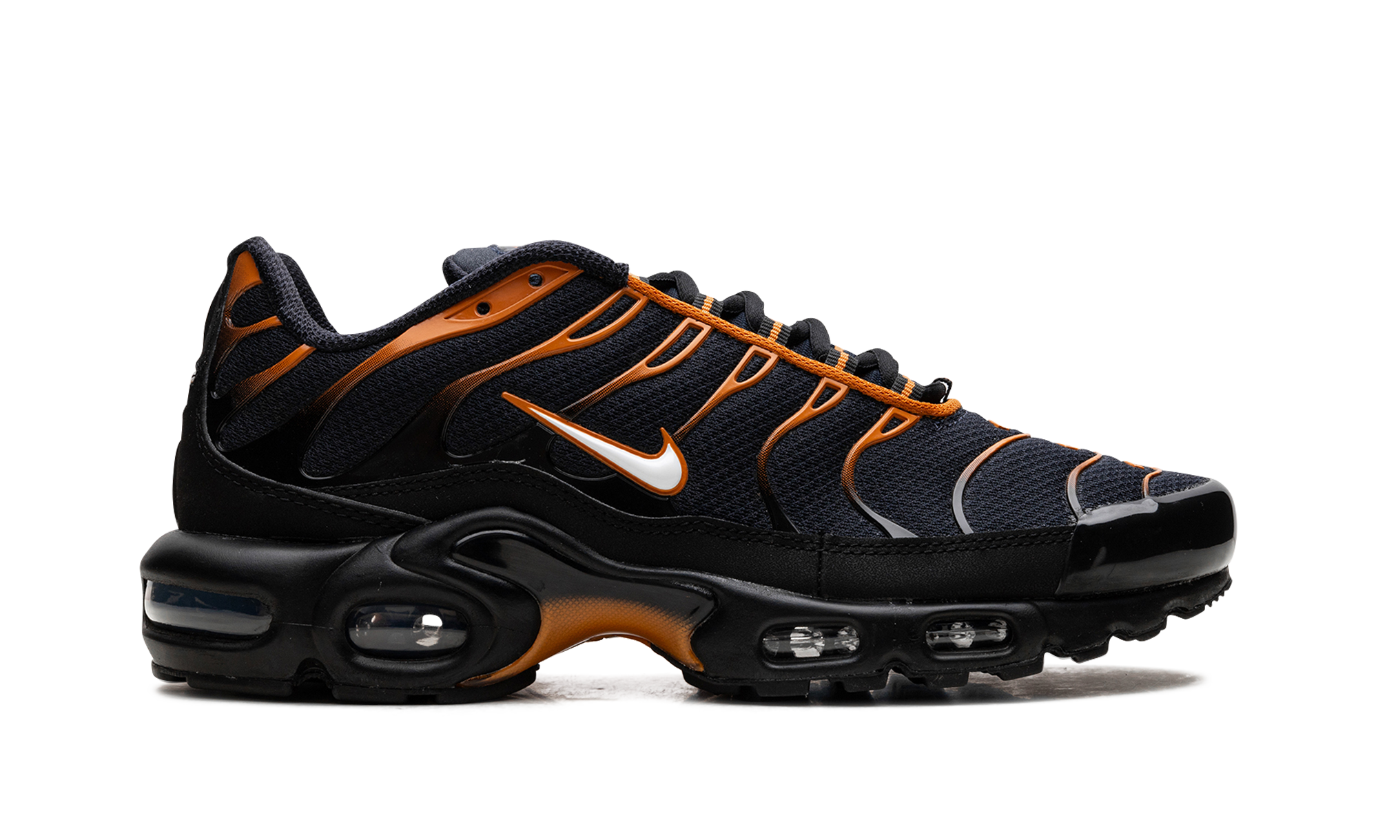 Nike Air Max Plus OBSIDIAN MONARCH FN6949 400