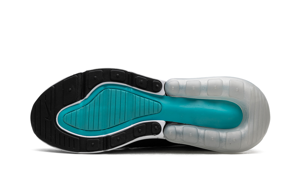 Nike AIR MAX 270 WMNS Dusty Cactus AH6789 115