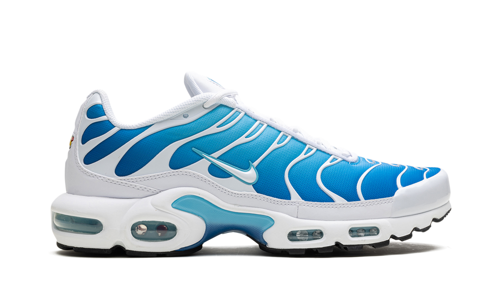 Nike Air Max Plus Blue Gaze 852630 411