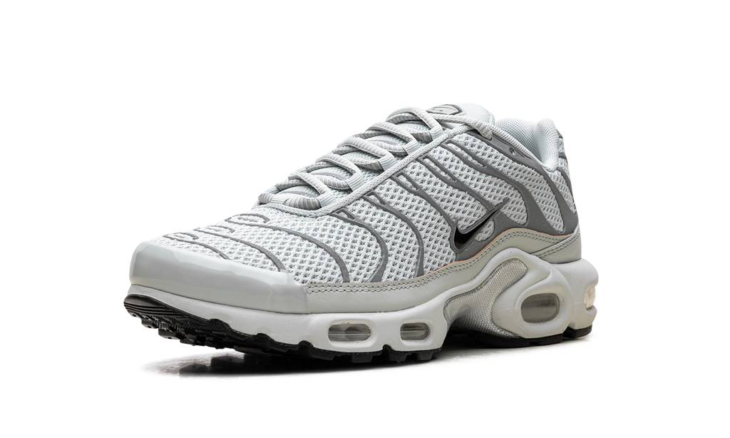 Nike Air Max Plus WMNS Light Silver FV8480 002