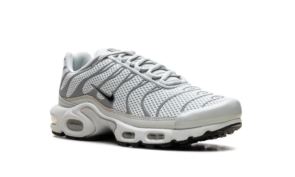 Nike Air Max Plus WMNS Light Silver FV8480 002