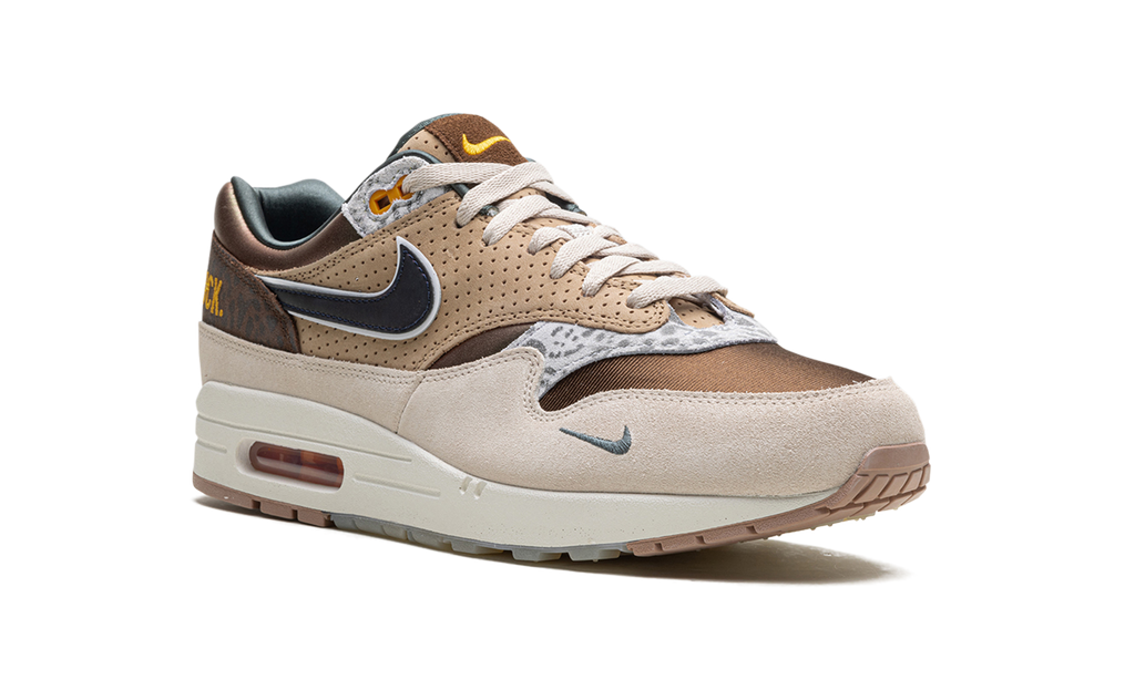 Nike Air Max 1 '87 Premium University of Oregon PE 2024 HQ2640 200