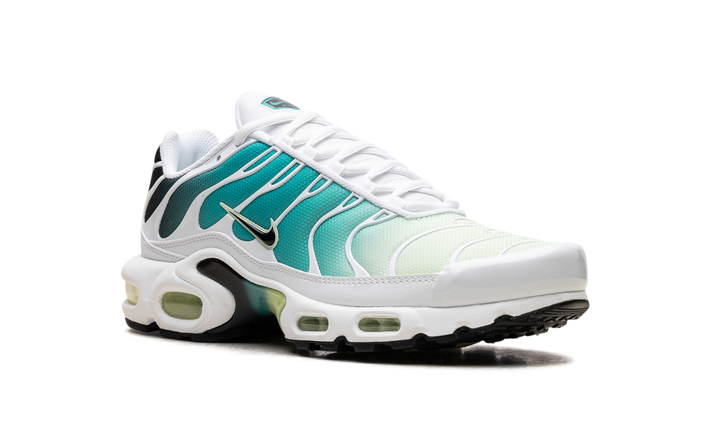 Nike Air Max Plus WMNS Dusty Cactus Barely Volt DZ3670 102
